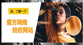 魔方網(wǎng)絡(luò)案例賞析之--紡織企業(yè)網(wǎng)站